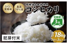 【定期便3ヶ月連続】令和6年産 ふくい東郷米 特別栽培米　農薬70％減コシヒカリ 6kg(3kg×2袋)×3ヶ月 合計18kg【胚芽付米】[E-020021_03]