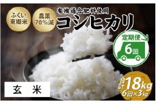 【定期便6ヶ月連続】令和6年産 ふくい東郷米特別栽培米　農薬70％減コシヒカリ 3kg×6ヶ月 合計18kg【玄米】[E-020022_02] 