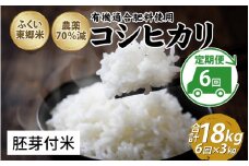 【定期便6ヶ月連続】令和6年産 ふくい東郷米特別栽培米　農薬70％減コシヒカリ 3kg×6ヶ月 合計18kg【胚芽付米】[E-020022_03]