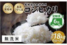 【定期便6ヶ月連続】令和6年産 ふくい東郷米特別栽培米　農薬70％減コシヒカリ 3kg×6ヶ月 合計18kg【無洗米】[E-020022_04]