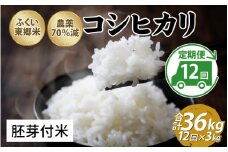 【定期便12ヶ月連続】令和6年産 ふくい東郷米　特別栽培米　農薬70％減コシヒカリ 3kg×12ヶ月 合計36kg【胚芽付米】[J-020024_03]