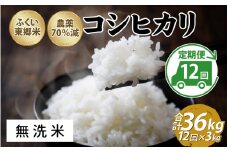 【定期便12ヶ月連続】令和6年産 ふくい東郷米　特別栽培米　農薬70％減コシヒカリ 3kg×12ヶ月 合計36kg【無洗米】[J-020024_04]