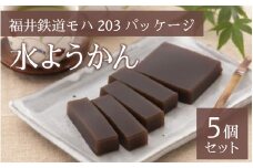 水ようかん(福井鉄道モハ203パッケージ)　5個セット [A-062009]
