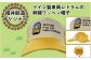 共通１日フリーきっぷ