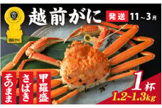 【先行予約】選べる！美味しさ直送【成前特選】越前かに（1.2kg～1.3kg）×1杯【11月～3月発送】甲羅盛  [O-028021_07]