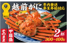 【先行予約】選べる！美味しさ直送【成前特選】越前かに（300～400g）×2杯【年内発送・年末年始対応】姿【E-028032_06】/ 正月