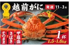 【先行予約】選べる！美味しさ直送【成前特選】越前かに（1.5kg～1.6kg）×1杯【11月～3月発送】姿 [Q-028031_06]