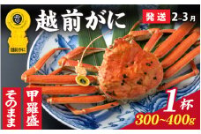【先行予約】選べる！美味しさ直送【成前特選】越前かに（300g～400ｇ）×1杯【2月～3月発送】姿 [C-028041_06] / ズワイガニ 甲羅盛り 越前がに かに 蟹 楚蟹 蟹 越前かに 香箱がに こうばこがに 親ガニ甲羅蟹 甲羅がに 香箱蟹
