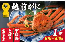 【先行予約】【11月～3月発送】選べる！美味しさ直送【成前特選】 越前がに（400g～500g）×1杯 姿  [D-028042_06] / 福井県 福井 オス 雄 ズワイガニ ボイル 冷蔵 越前ガニ 越前がに 越前カニ ずわいがに ずわい蟹 かに カニ 蟹 指定 茹で すがた 姿