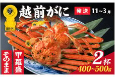 【先行予約】選べる！美味しさ直送【成前特選】 越前がに（400g～500g）×2杯【11月～3月発送】姿  [J-028047_06] / 福井県 福井 オス 雄 ズワイガニ ボイル 冷蔵 越前ガニ 越前がに 越前カニ ずわいがに ずわい蟹 かに カニ 蟹 指定 茹で 甲羅盛り 甲羅盛 すがた 姿 チルド 越前蟹 ずわい ズワイ 茹で蟹 茹で むき身