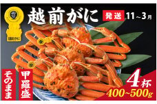 【先行予約】選べる！美味しさ直送【成前特選】 越前がに（400g～500g）×4杯【11月～3月発送】姿  [O-028067_06]