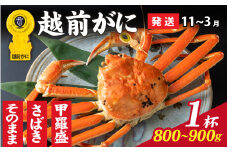 【先行予約】選べる！美味しさ直送【成前特選】 越前がに（800g～900g）×1杯【11月～3月発送】 甲羅盛 [K-028048_07] / 福井県 福井 オス 雄 ズワイガニ ボイル 冷蔵 越前ガニ 越前がに 越前カニ ずわいがに ずわい蟹 かに カニ 蟹 指定 茹で 甲羅盛り 甲羅盛 すがた 姿 チルド 越前蟹 ずわい ズワイ 茹で蟹 茹で むき身