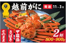 【先行予約】選べる！美味しさ直送【成前特選】 越前がに（800g～900g）×2杯【11月～3月発送】姿  [O-028049_06]