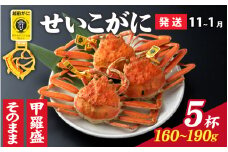 【先行予約】選べる！美味しさ直送【成前特選】せいこがに（160g～190g）×5杯【11月～1月発送】姿  [G-028043_06] / ズワイガニ 甲羅盛り 越前がに かに 蟹 楚蟹 セイコ蟹 越前かに 香箱がに こうばこがに 親ガニ こっぺがに せこがに 甲羅蟹 甲羅がに 香箱蟹 メス ずわいがに カニ セイコガニ