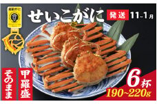 【先行予約】選べる！美味しさ直送【成前特選】 せいこがに（190g～220g）×6杯【11月～1月発送】姿 [J-028054_06] / ズワイガニ 甲羅盛り 越前がに かに 蟹 楚蟹 セイコ蟹 越前かに 香箱がに こうばこがに 親ガニ こっぺがに せこがに 甲羅蟹 甲羅がに 香箱蟹 メス ずわいがに カニ セイコガニ