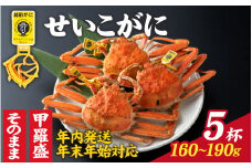 【先行予約】選べる！美味しさ直送【成前特選】せいこがに（160g～190ｇ）×5杯 【年内発送・年末年始対応】甲羅盛【E-028010_07】/ 正月【年内発送 年内お届け】ズワイガニ 甲羅盛り 越前がに かに 蟹 楚蟹 セイコ蟹 越前かに 香箱がに こうばこがに 親ガニ こっぺがに せこがに 甲羅蟹 甲羅がに 香箱蟹 メス ずわいがに カニ セイコガニ