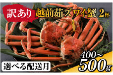 【先行予約】[到着日指定可]【訳あり】蟹好きが唸る老舗カニ料理店の越前茹ズワイ蟹　ミニ(400～500g) 2杯【11月中旬より順次発送】 [G-085034]