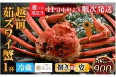 【先行予約】[捌き済選択可][到着日指定可]蟹好きにおすすめ！老舗カニ専門店の「越前ずわいがに」中(700g～900g)【11月中旬より順次発送】 [I-085016] / カニ かに かにボイル かにみそ 越前ガニ ズワイガニ ずわい蟹 ズワイガニ