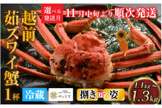 【先行予約】[捌き済選択可][到着日指定可]蟹好きにおすすめ！老舗カニ専門店の「越前ずわいがに」特大(1.1kg～1.3Kg)【11月中旬より順次発送】 [O-085019]