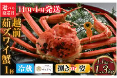 【先行予約】[到着日指定可]蟹好きにおすすめ！老舗カニ専門店の「越前ずわいがに」(1.1kg～1.3Kg)　＜11月、1月発送分＞＜姿＞【11月中旬より順次発送】 [O-085024_07]
