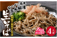 【１分で叶う本格味】茹でたて十割越前おろしそば [A-135002] / 蕎麦 つなぎなし 生そば 十割 十割そば 十割蕎麦 そば お蕎麦 おそば おろし蕎麦 おろしそば 越前そば 越前蕎麦 冷凍