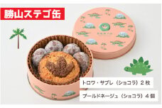  恐竜サブレ缶（小）【勝山ステゴ缶】 [A-135005_04]
