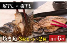 【塩干し×塩干し】丸ごと骨まで食べられる焼き魚 3枚セット×2種 [A-088023_01_01]