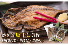 【塩干し】丸ごと骨まで食べられる焼き魚 計3枚（3枚セット×1種）【A-088001_01】