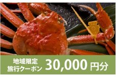 【福井県福井市】日本旅行 地域限定旅行クーポン【30,000円分】[J-158002]
