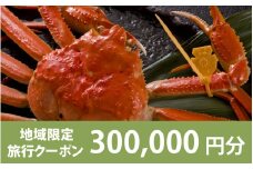 【福井県福井市】日本旅行 地域限定旅行クーポン【300,000円分】[W-158006]