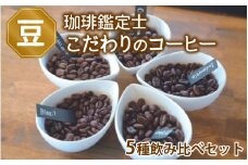 【豆のまま】【珈琲鑑定士が選ぶ】スペシャルティコーヒー豆 5種類飲み比べセット【500g コーヒー 珈琲 コーヒー豆 飲み比べ  稀少豆】 [A-043004_01]