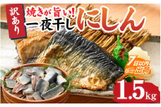 【訳あり】 焼きが旨い！ 一夜干しにしん 約1.5kg [A-155001]
