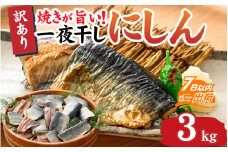 【訳あり】 焼きが旨い！ 一夜干しにしん 約3.0kg [A-155002]