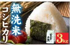 【先行予約】新米 令和7年産 福井市産 コシヒカリ 3kg 無洗米 / 天然の山水で育てたお米【みやま米】「2025年10月下旬以降順次発送予定】 [A-168003] / 3キロ 3kg 米 こめ コメ お米 こしひかり 福井県 福井市 令和7年 7年産 七年