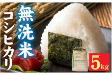 【先行予約】新米 令和7年産 福井市産 コシヒカリ 5kg 無洗米 / 天然の山水で育てたお米【みやま米】「2025年10月下旬以降順次発送予定】 [A-168004] / 5キロ 5kg 米 こめ コメ お米 こしひかり 福井県 福井市 令和7年 7年産 七年