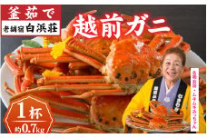 【老舗宿 白浜荘】タグ付き越前ガニ 釜茹で 約0.7kg 1杯　/ 越前ガニ ズワイガニ かに カニ 茹でがに タグ 希少 冷蔵 コク 濃厚 珍味 ゆで [E-157003] 