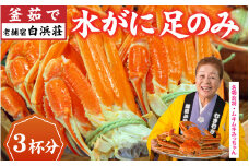 【先行予約】【老舗宿 白浜荘】釜茹で水がに 足のみ 3杯分【2月20日よりカニ漁解禁順次発送予定】/ 越前ガニ ズワイガニ かに カニ 茹でがに タグ 希少 冷蔵 コク 濃厚 珍味 ゆで　 [C-157004]　