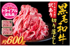 【トライアル返礼品】訳あり・不揃い 黒毛和牛 切り落とし肉 約600g [A-121005] / ギフト 肉 黒毛和牛 国産牛 肉ギフト 焼肉 母の日 プレゼント 牛肉 おせち 国産 送料無料 父の日