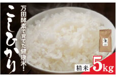 【先行予約】令和7年産 万田酵素で育てた健康米 福井市産こしひかり5kg「2025年9月下旬より順次発送」 [A-150002] / 新米 精米 米 お米 コメ 送料無料 コシヒカリ 酵素 植物発酵食品 長期発酵 熟成