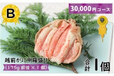 Ｂ　越前がに甲羅盛（175g前後 × 1個）合計1個 [C-096005_02]