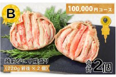 Ｂ　越前がに甲羅盛（220g前後 × 2個）合計2個 [J-096013_02]
