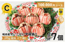Ｃ　越前産せいこがに甲羅盛（85g前後 × 7個）合計7個 [J-096013_03]
