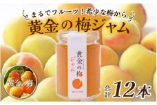 まるでフルーツ！希少な梅から「黄金の梅ジャム」12本 [D-178001] / 加工品 調味料 ジャム 季節ジャム パン ジャムティー ヨーグルト 料理 手造り 詰合せ お取り寄せ 送料無料