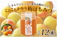 まるでフルーツ！希少な梅から「ころころかをり梅はちみつ」12本 [E-178002] / 梅 うめ はちみつ ハチミツ 加工品 調味料 ジャム 季節ジャム パン ジャムティー ヨーグルト 料理 手造り 詰合せ お取り寄せ 送料無料