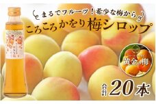 まるでフルーツ！希少な梅から「ころころかをり梅シロップ」20本 [I-178003] / 梅 うめ シロップ 加工品 調味料 ジャム 季節ジャム パン ジャムティー ヨーグルト 料理 手造り 詰合せ お取り寄せ 送料無料