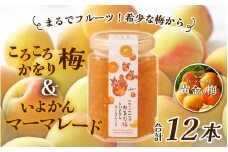 まるでフルーツ！希少な梅から「ころころかをり梅＆いよかんマーマレード」12本 [D-178005] / 梅 うめ いよかん マーマレード 加工品 調味料 ジャム 季節ジャム パン ジャムティー ヨーグルト 料理 手造り 詰合せ お取り寄せ 送料無料