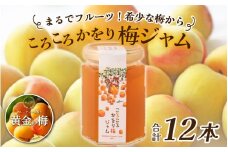 まるでフルーツ！希少な梅から「ころころかをり梅ジャム」12本 [D-178004] / 梅 うめ 加工品 調味料 ジャム 季節ジャム パン ジャムティー ヨーグルト 料理 手造り 詰合せ お取り寄せ 送料無料