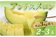 【訳あり】【福井市三里浜砂丘地産】立体栽培の甘味凝縮アンデスメロン [A-180001]　/ メロン アンデス めろん フルーツ 果肉 スイーツ 旬 福井 ふくい 果物 アンデスメロン 舐瓜 緑色 青肉 3L 4L 5L サイズ 2玉 3玉 3kg 糖度