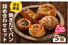 店主厳選！人気の焼きたてパンを詰め合わせた特別セット【5個】[A-132001] / パン ぱん セット 詰合せ 焼きたて ベーカリー 惣菜 菓子 あんこ 食パン 定番 バケット あん食パン 餡子 アンコ 詰め合わせ 菓子パン 惣菜パン あんぱん