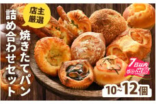 店主厳選！人気の焼きたてパンを詰め合わせた特別セット【10～12個入り】[A-132002] / パン ぱん セット 詰合せ 焼きたて ベーカリー 惣菜 菓子 あんこ 食パン 定番 バケット あん食パン 餡子 アンコ 詰め合わせ 菓子パン 惣菜パン あんぱん